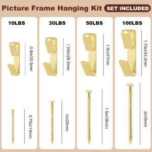 350PCS Picture Hanging Kit, Heavy Duty Photo Frame Hangers with Sawtooth Hardware, D Rings, Nails, Level, Screws, Steel Wire for Picture, Painting, Mirror, Wall Art Mounting