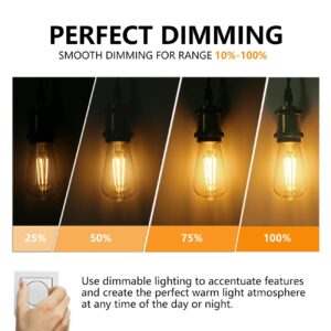 BORT ST58/ST19 Vintage LED Edison Bulbs, Warm White 2700K, Dimmable 6W Edison Light Bulbs, 60W Equivalent, 700LM, E26 Standard Base Filament LED Bulb, Clear Plastic - 12Pack