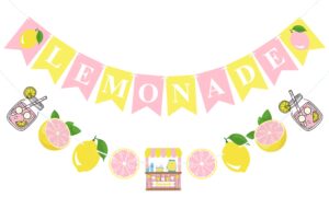 vilifever pink yellow lemonade banner for lemonade stand decorations, lemon sign garland summer party decor lemonade themed bridal shower birthday party supplies favor