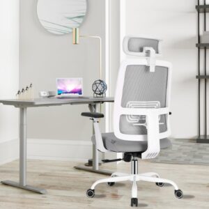 Schwake Ergonomic Office Chair - High Back Desk Chair with Adjustable Lumbar Support, Headrest & 3D Armrest - 135°Rocking Mesh Computer Chair (White & Grey)