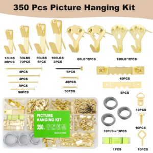 350PCS Picture Hanging Kit, Heavy Duty Photo Frame Hangers with Sawtooth Hardware, D Rings, Nails, Level, Screws, Steel Wire for Picture, Painting, Mirror, Wall Art Mounting