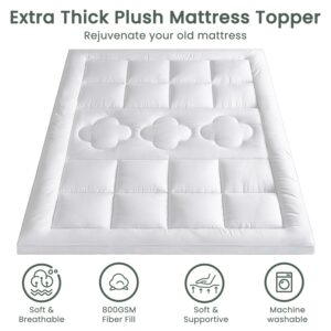 FLEXPEDIC Mattress Topper Queen,Extra Soft Pillow Top Mattress Topper for Firm Bed,800GSM Extra Thick Mattress Pad Cover for Back Pain,4 Anchor Elastic Bands,60 * 80 Inches,White