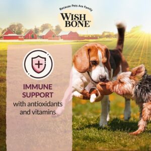 Wishbone Graze New Zealand Beef and Lamb Dry Dog Food, Gluten-Free, Grain-Free Formula for Overall Pet Health - 4 lb