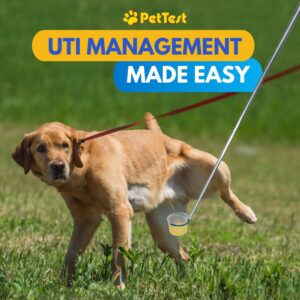 PetTest i-Catch Telescoping Dog Urine Catcher - 45-inch Extendable Dog Pee Stick Collector and Telescopic Pole Handle for Small and Large Breeds - Includes a Reusable Cup with Milliliter Markings