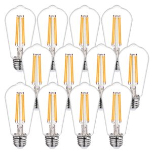 bort st58/st19 vintage led edison bulbs, warm white 2700k, dimmable 6w edison light bulbs, 60w equivalent, 700lm, e26 standard base filament led bulb, clear plastic - 12pack