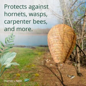 Dalen Hornet's Nest - Decoy Hive Helps Keep Wasps, Hornets, Yellow Jackets and Others Away - 11in, 3 Pack