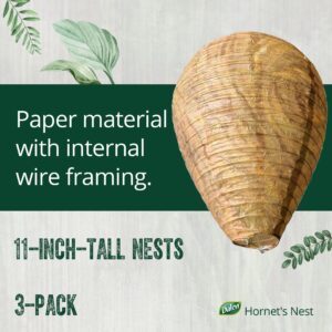 Dalen Hornet's Nest - Decoy Hive Helps Keep Wasps, Hornets, Yellow Jackets and Others Away - 11in, 3 Pack