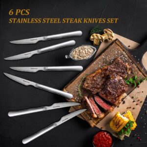 Steak Knives Set of 6, German Stainless Steel Sharp Steak Knife Set, 4.8 Inch Serrated Knives with Box, Steak Knifes for Home Party Christmas Gift