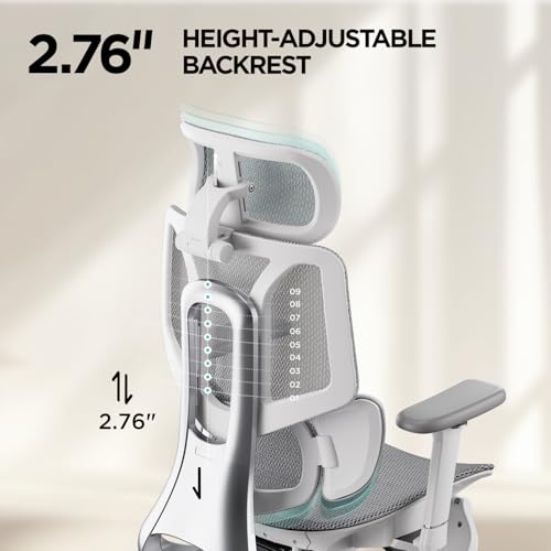 Hbada E3 Air Ergonomic Office Chair, Big and Tall Office Chair - with 3-Zone Dynamic Lumbar Support, 3D Adjustable Headrest, 3D Adjustable Armrests, Swivel Computer Chair, Grey(No Footrest)