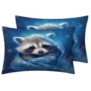 zcwl Raccoon Duvet Cover King Size | Cute Animal Bedding Set | 3 Piece | Soft Microfiber Patterned Comforter Cover with Zipper Ties & 2 Pillowcases | Raccoon Bedroom Decor