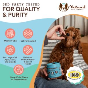 Natural Dog Company Multivitamin Chews & Coldwater Atlantic Salmon Oil Bundle – Advanced Immune Support, Joint Care, and Cognitive Health for Senior Dogs – Perfect Daily Supplement, 90 Chews + 16oz Oi