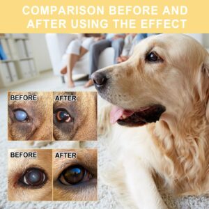 HcirjhieEye Drops for Dogs, Dog Eye Infection Treatment, Superior Comfort Long，Lasting Relief Fewer Application Needed, Used to Clean Tear Stains, Remove Eye Stains, and Relieve Dryness, 20mI