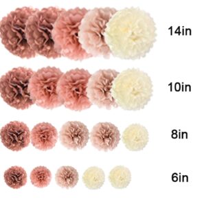 AimtoHome Party Tissue Paper Pom Poms 20 Pcs Tissue Paper Flowers Decorations for Birthday , Wedding, Bachelorette, Bridal Shower, Graduations, Baby Shower Decor (Rose Gold,Dusty Pink, Coral, Cream)