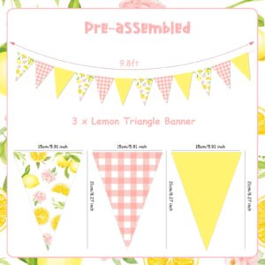 Lemon Party Decorations - 3PCS Lemon Bunting Banners, Pink and Yellow Lemon Triangle Banner Garland for Lemonade Wedding Engagement Bridal Shower Bachelorette Baby Shower Birthday Party Decor