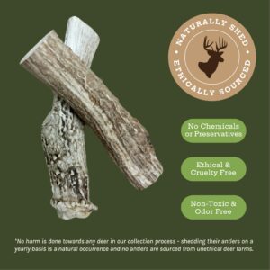 Good Trouble Pets All-Natural Shed Premium Antler Dog Chews - North American Sourced Deer Antlers for Dental Health & Anxiety Relief - Odor-Free & Non-Toxic Chew Toys for Dogs 2 Whole Antlers, Large