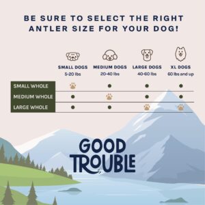 Good Trouble Pets All-Natural Shed Premium Antler Dog Chews - North American Sourced Deer Antlers for Dental Health & Anxiety Relief - Odor-Free & Non-Toxic Chew Toys for Dogs 2 Whole Antlers, Large