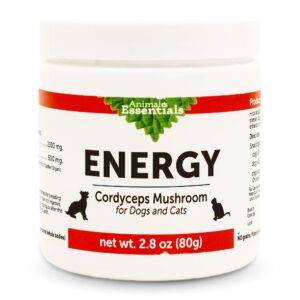 animal essentials energy cordyceps mushroom supplement for dogs & cats - support stamina & endurance, healthy respiratory & kidney functions, antioxidant, mushroom powder extract - 2.8 oz (pack of 1)