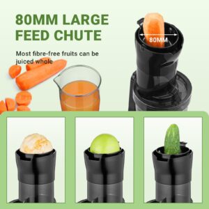 AMZCHEF Whole Fruit Juicer Machines, 80MM Large Feeding Chute Slow Masticating Juicer, Powerful Cold Press Juicers with Upgrade Auger, Double-Layer Filter, Retro Toggle Switch (Light black)