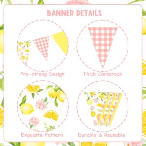 Lemon Party Decorations - 3PCS Lemon Bunting Banners, Pink and Yellow Lemon Triangle Banner Garland for Lemonade Wedding Engagement Bridal Shower Bachelorette Baby Shower Birthday Party Decor