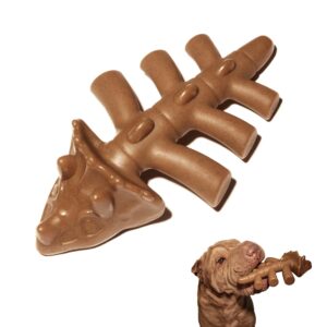 durable dog chew toy for aggressive chewers, dinosaur shape, medium, beef flavor.