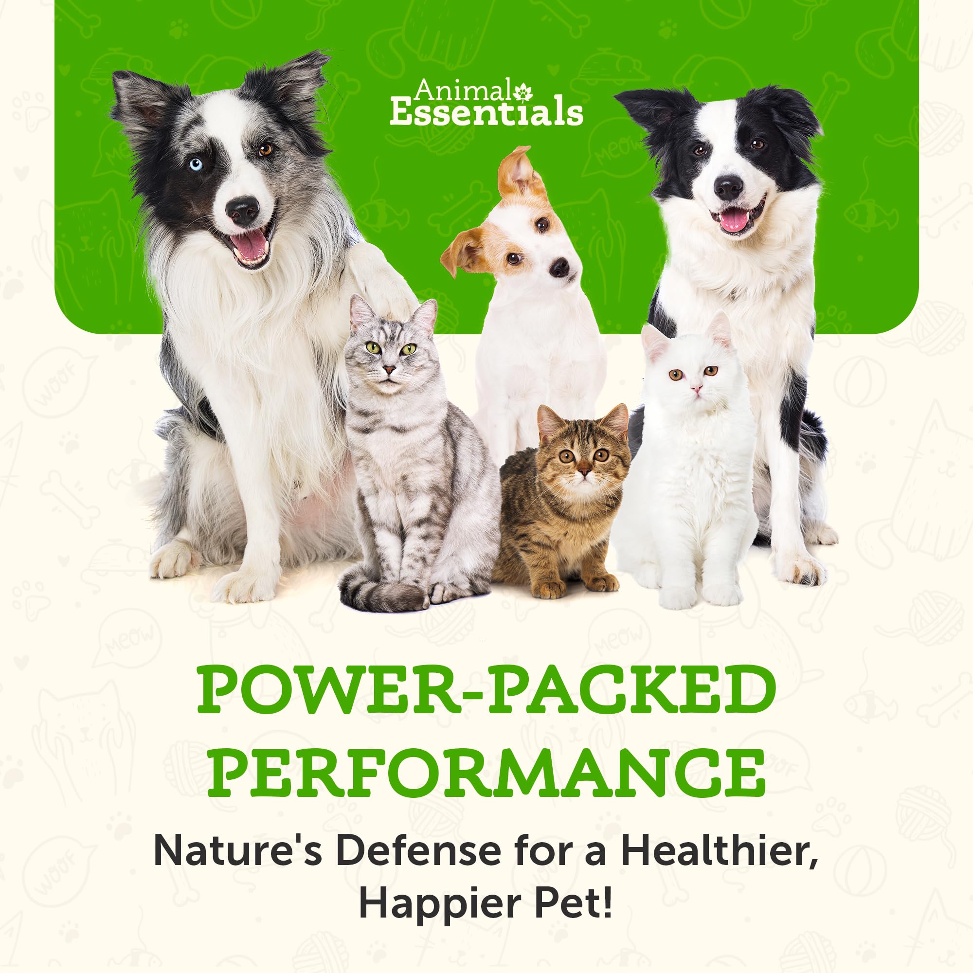 Animal Essentials Combat Turkey Tail Mushroom Supplement for Dogs & Cats - Critical Immune Defense, Supports Cognitive Function, Mushroom Powder Extract, Organic Turkey Tail - 2.5 Oz (Pack of 1)