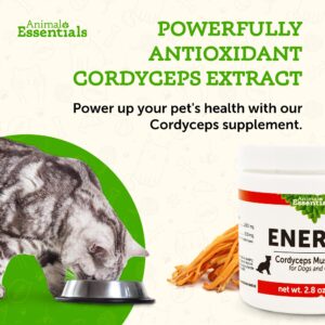 Animal Essentials Energy Cordyceps Mushroom Supplement for Dogs & Cats - Support Stamina & Endurance, Healthy Respiratory & Kidney Functions, Antioxidant, Mushroom Powder Extract - 2.8 Oz (Pack of 1)