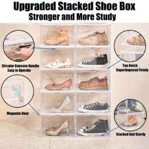 Rgqphantom 1pack Shoe Storage Box,Stronger Shoe Box with Magnetic Door for Sneaker Display,Easy Assembly,Shoe Box Clear Plastic Stackable，Transparent (1 pack)