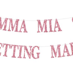 Mamma Mia She is Getting Married Banner, From Miss to Mrs, Bride to Be Hanging Decor, Pink Glitter Engagement Party Decorations