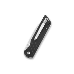 QSP EDC Folding Pocket Knife, D2 Blade, 4" G10/Micarta handle, Left and Right Handed Thumb Stub Opening, Smooth Liner Lock with Ball Bearing, Parrot (ball bearing, black G10)