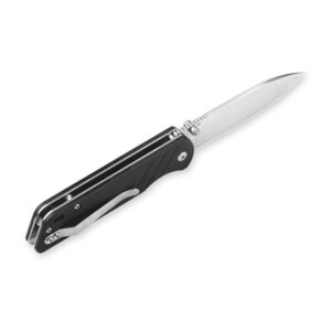 QSP EDC Folding Pocket Knife, D2 Blade, 4" G10/Micarta handle, Left and Right Handed Thumb Stub Opening, Smooth Liner Lock with Ball Bearing, Parrot (ball bearing, black G10)