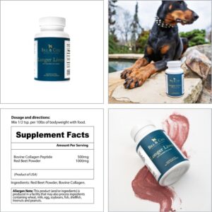 BILL & COO Longer Lives Fiber Supplement - Boost Your Pet's Immunity with Our Unique Bovine Collagen Peptides Powder and Beet Root Powder Formula Helps Strengthen The Heart, Liver and Digestive | 90g