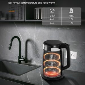 Electric Kettle, 1.7L Glass Tea Kettle, with Keep Warm, 5 Temperature Control, 1500W Fast Boil, Auto Shut-Off & Boil-Dry Protection, with 5 Colored Lights, Black