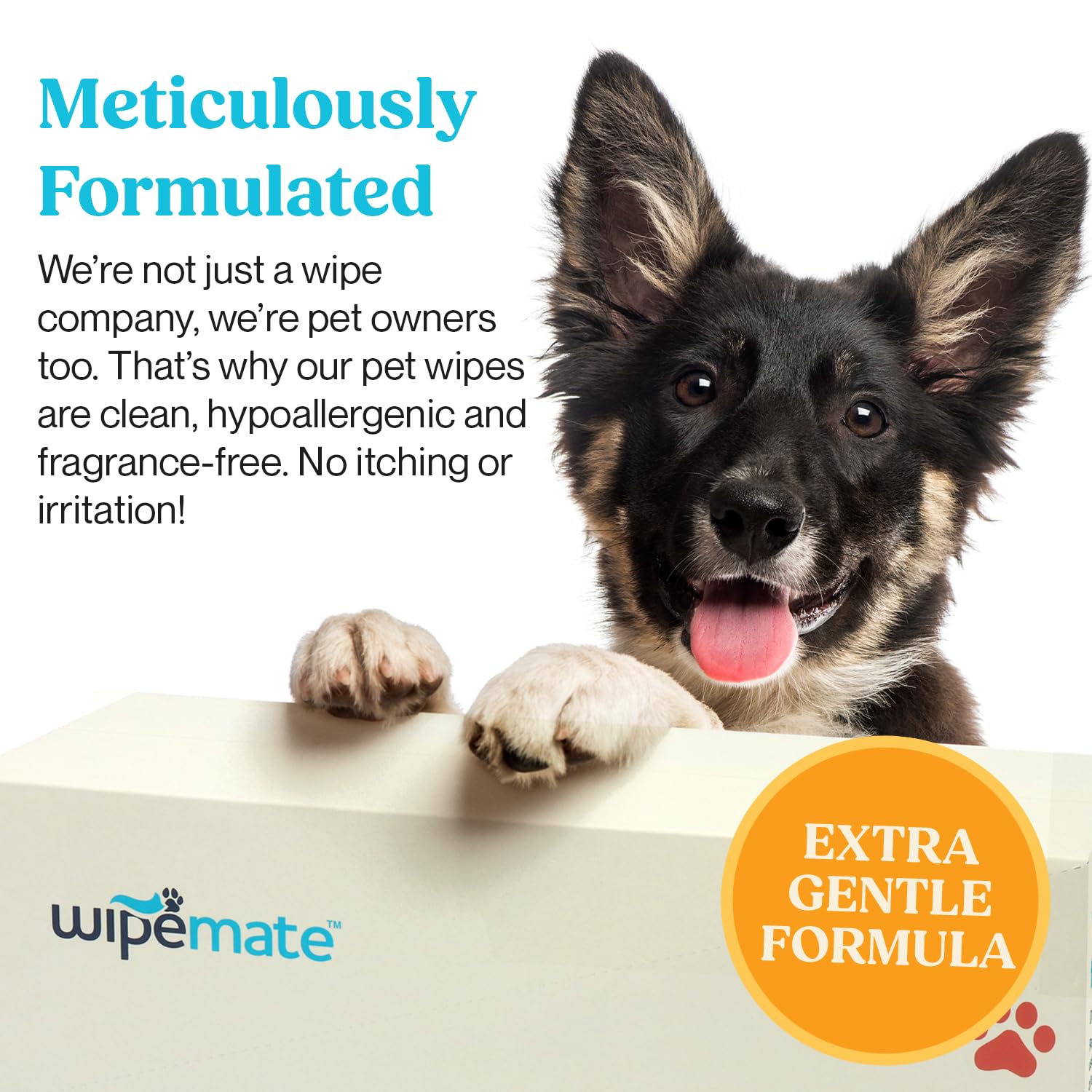 WIPEMATE Premium Dog & Cat Pet Wipes Cleans Pet Paws, Ears, Fur, Butt, & Anal Gland, No-Rinse Solution, Gentle, Deodorizing, Hypoallergenic - Unscented 30 ct (Travel Series)