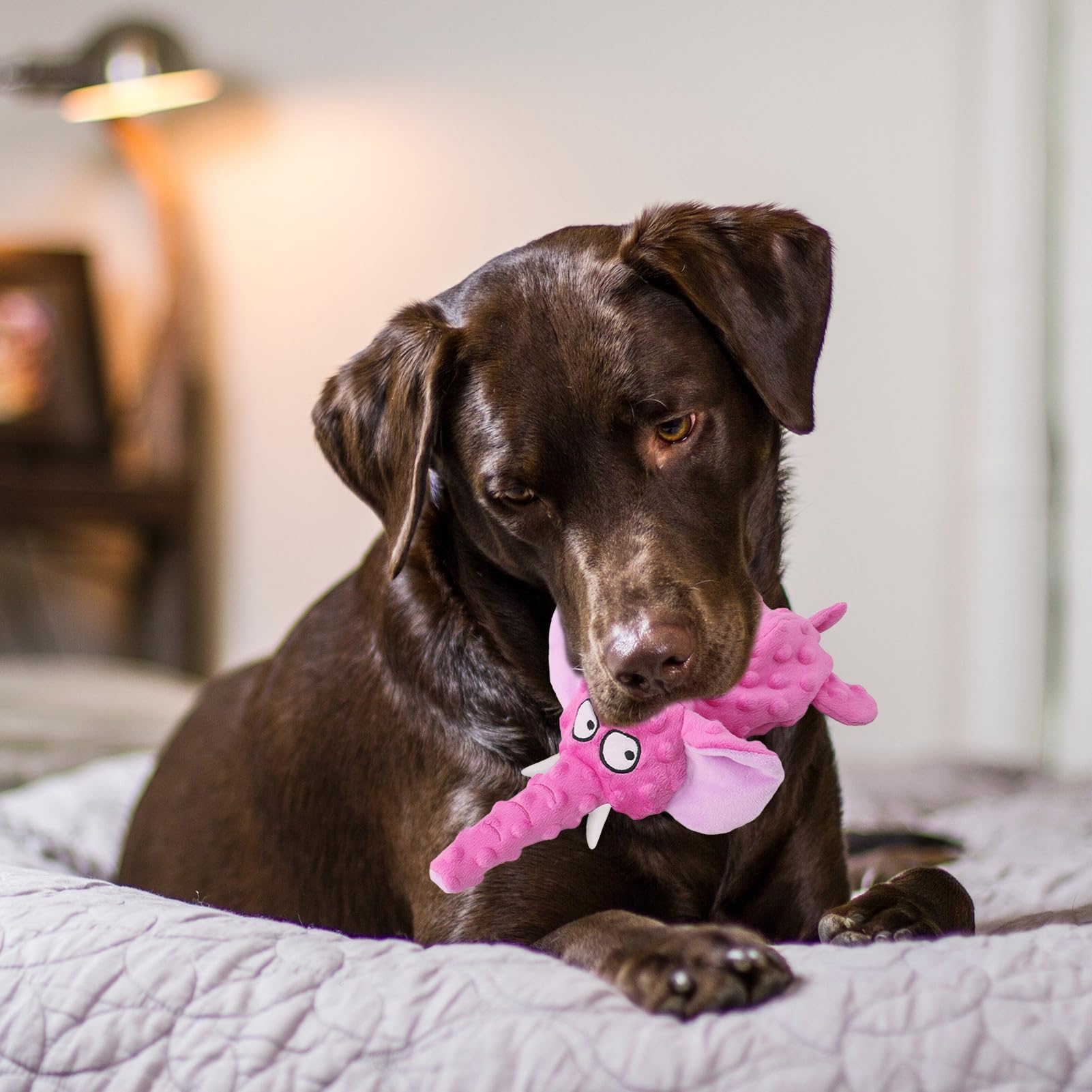 Pet Toy Bite-Resistant Interactive Plush Dog Chew Toy Elephant Shape Pet Squeaky Toy Rattling Paper Durable Pet Molar Teething Toy Soft Touch Pet Plaything for Dogs Other Pets Grey