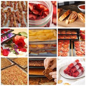 8 Pcs Silicone Dehydrator Sheets, Premium Non Stick Dehydrator Mats, Fruit Dryer Mesh for Food Dehydrator, 14x14 in