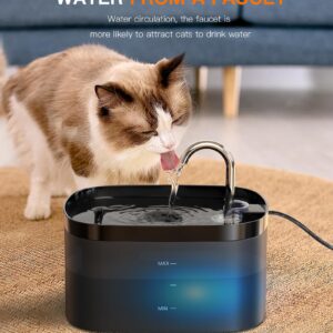 Cat Water Fountain, 84OZ/2.5L Cat Fountain, Super Silent Pet Water Fountain, Activated Carbon Filter, Translucent Pet Water Dispenser Suitable for Multiple Pets Family (Black)