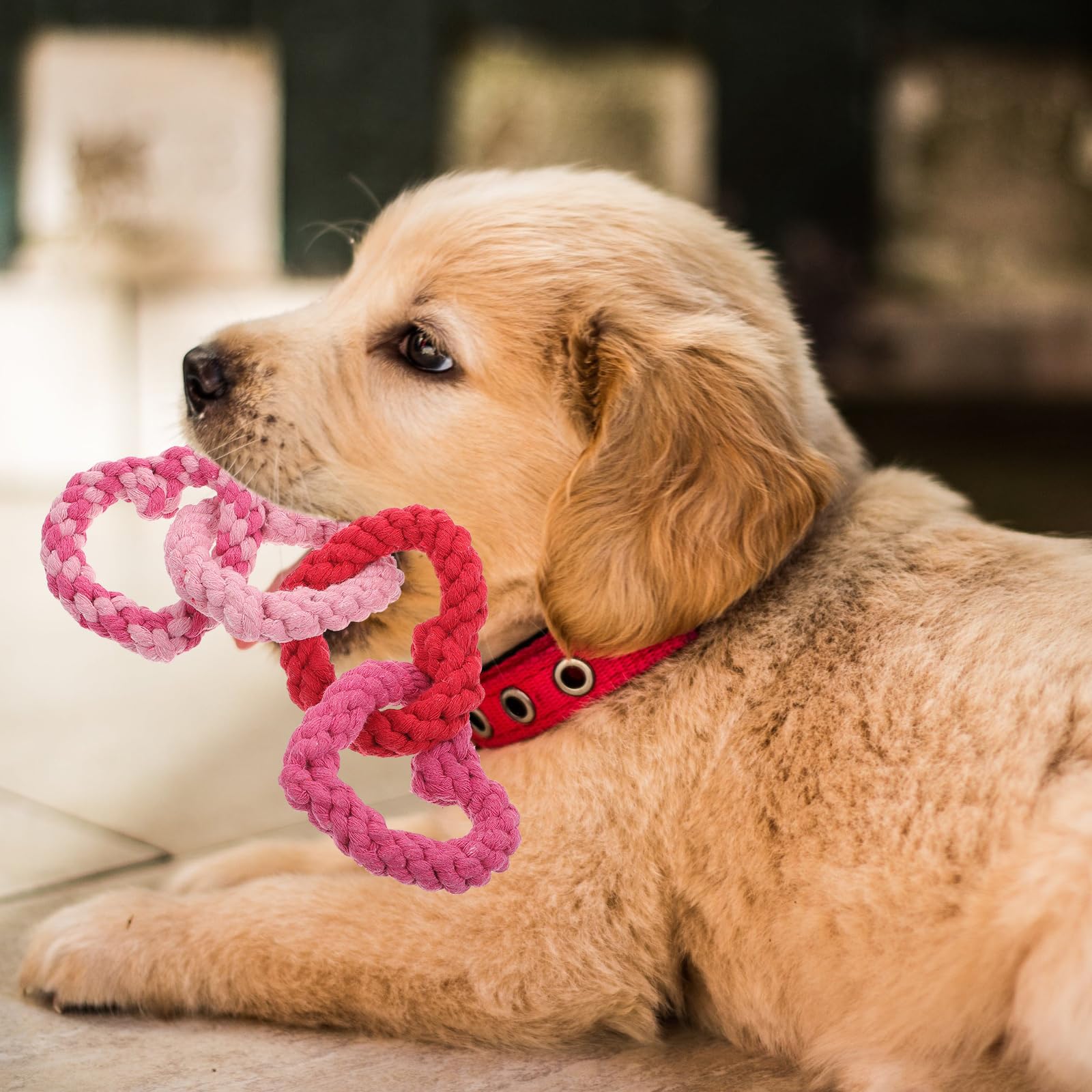 Beavorty 1Pcs Dog Rope Toys Chew Rope Natural Cotton Dog Pull Rope Indestructible Dog Toy Dog Tug Toy for Large Dogs, Dental Cleaning Chew Toys