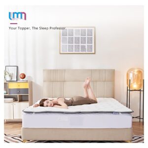 UMN Mattress Topper Queen Size - Soft Foldable Memory Foam Mattress Pad - 2 Inch Thin Cooling Breathable Mattress Protector for Back Pain Pressure Relief