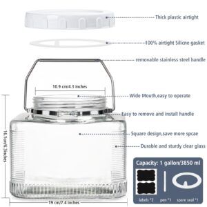 2 Pack 1 Gallon Glass Jar with Lid Square Large Mason Jar with Stainless Steel Handle and Leak Proof Screw Lid for Storing Eggs, Flour, Kombucha, Sugar, Pickle - Extra Gasket, Reusable Labels and Pen