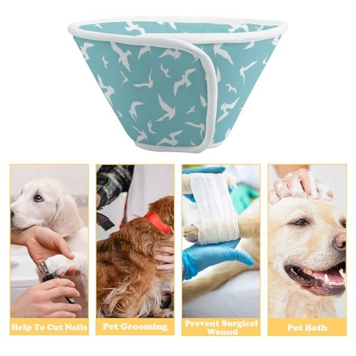 Cute Seagulls Soft Dog Cone Collars Protective Adjustable Cat Recovery Collar to Stop Licking L