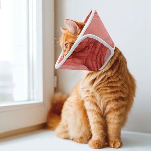 Red Bright Splash Comfortable Dog Cone Cat Collar Adjustable Prevent from Licking Wounds XL