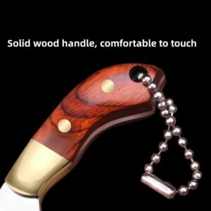 SZHOWORLD Ultra Small Fixed Blade Knife, 1.5inch 5Cr15 Stainless Steel Blade with Brass+Colored Wood Handle, Mini Creative Knife/Box Cutter with Leather Sheath for Every Day Carry (Red brown)