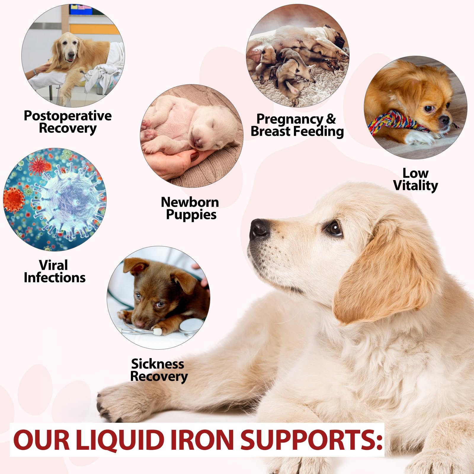 Liquid Iron Supplements for Dogs,LiquiI Iron with Vitamin C and B12,Supports Anemia, Low Enery Levels and Lethargy,Promotes Blood Health, Helps with Formation of Red Blood Cell