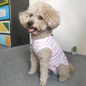 Paipeper Dog's Recovery Suit Post Surgery Shirt for Puppy, Small Dog Surgical Recovery Suit for Female Male Dogs, Dog Onesie Protect Surgical Wound(Pink White Stripe-s)