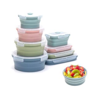 K HOME VT Collapsible Silicone Food Storage Container Set (INDIGO)