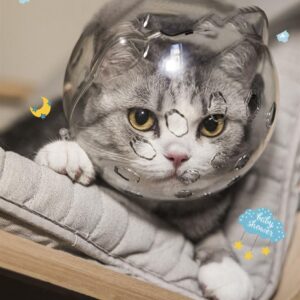 Cat Muzzle Breathable Cat Hood Adjustable Kitten Astronaut Transparent Helmet Prevent from Cats Biting Chewing Grooming Cat Bubbles Mask for Aggressive Cat (S)