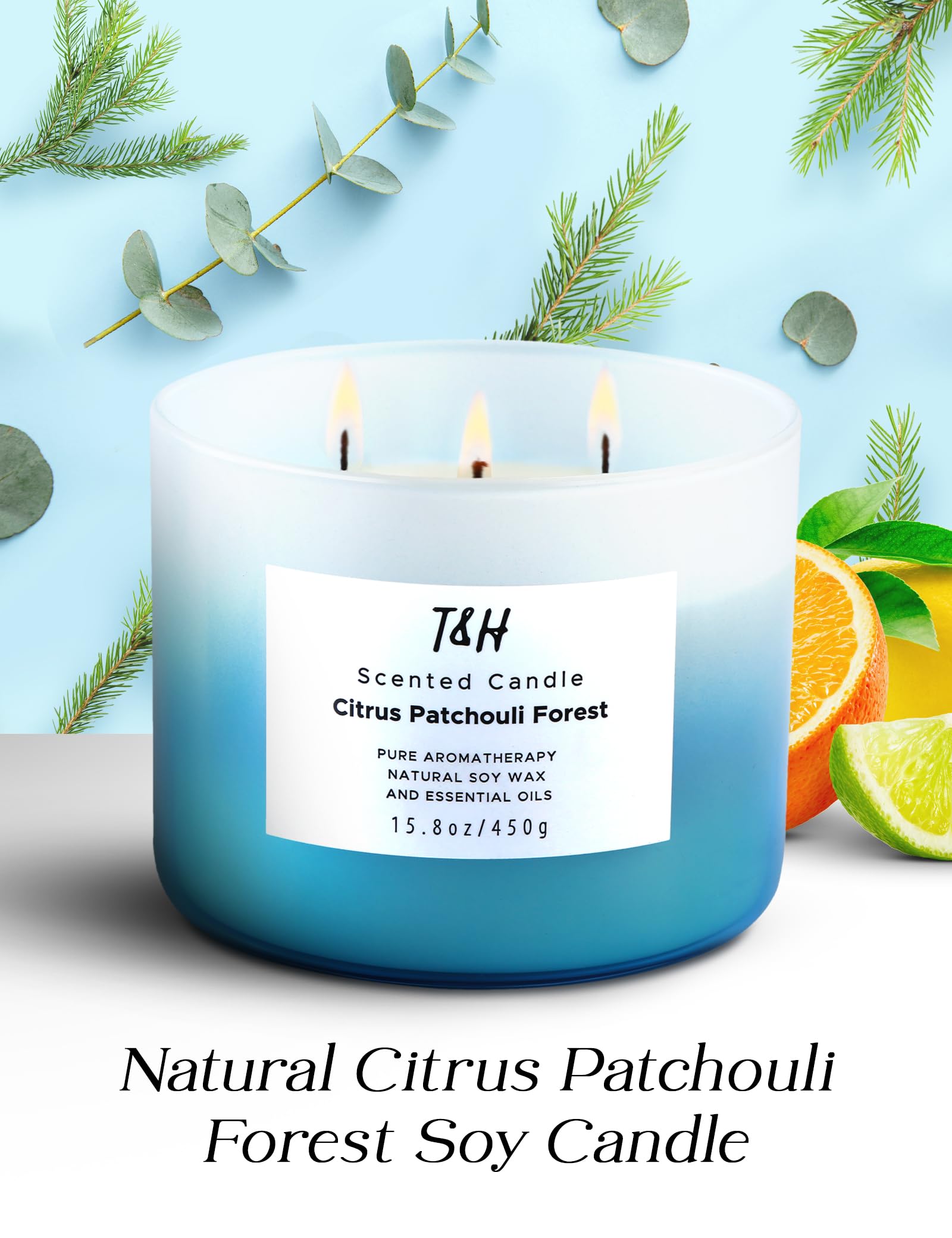 Large Citrus Patchouli Eucalyptus & Cedar Forest 3-Wick Candle - Highly Scented Natural Soy Candle for Home & Office 15.8 oz - Aromatherapy Stress Relief Candle, Refreshing Gift Candle for Women & Men