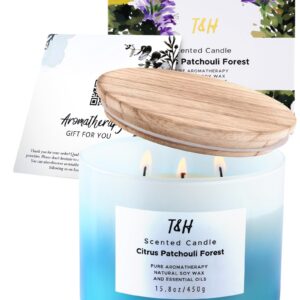 Large Citrus Patchouli Eucalyptus & Cedar Forest 3-Wick Candle - Highly Scented Natural Soy Candle for Home & Office 15.8 oz - Aromatherapy Stress Relief Candle, Refreshing Gift Candle for Women & Men