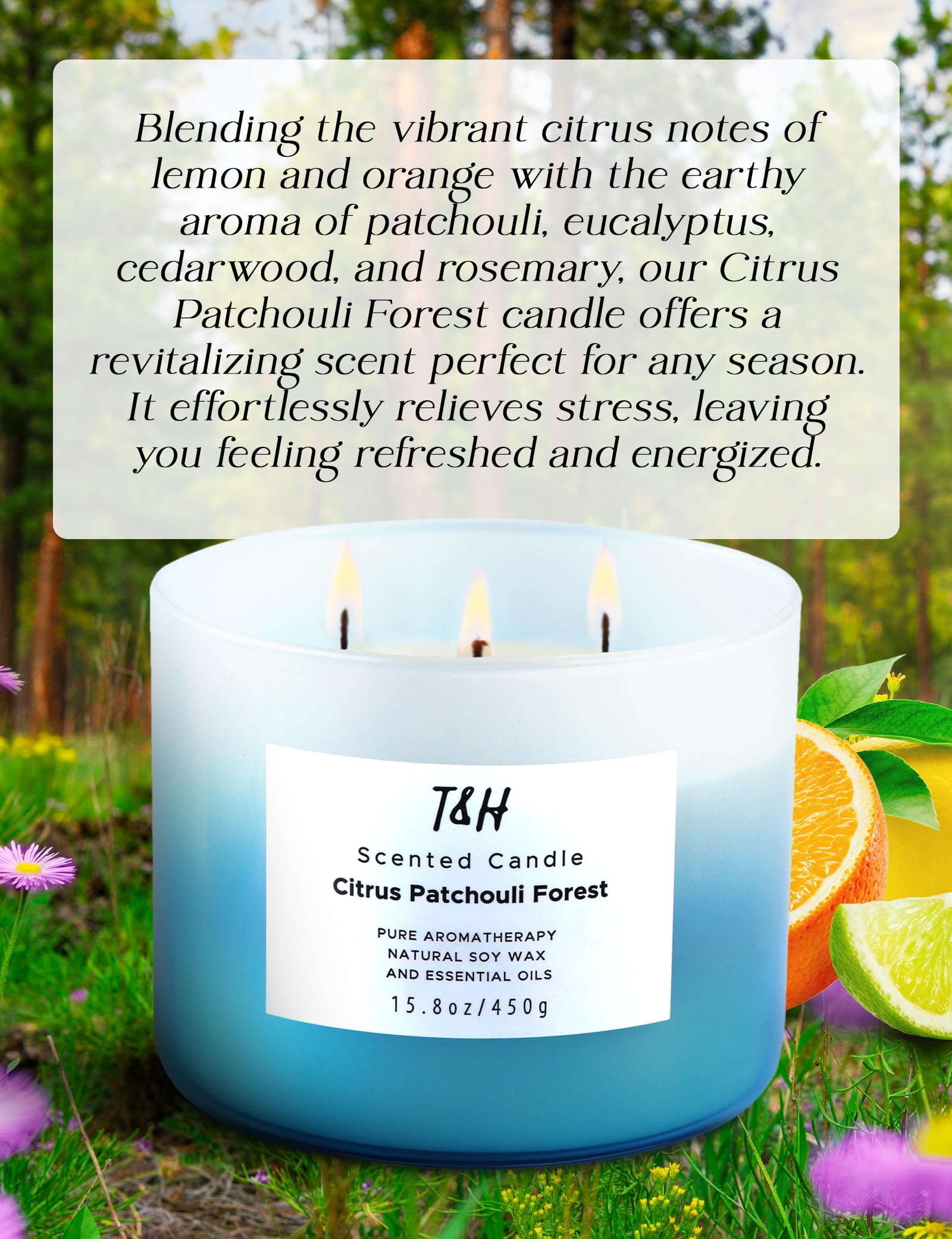 Large Citrus Patchouli Eucalyptus & Cedar Forest 3-Wick Candle - Highly Scented Natural Soy Candle for Home & Office 15.8 oz - Aromatherapy Stress Relief Candle, Refreshing Gift Candle for Women & Men