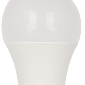 Westinghouse 5229100 14 Watt (100 Watt Equivalent) A19 Daylight LED Light Bulb, Medium Base